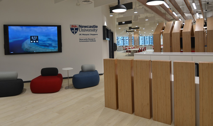 Newcastle Research and Innovation Institute (NewRIIS) Newcastle Research and Innovation Institute (NewRIIS)